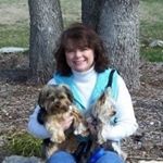 Profile Picture of Jeanne Jenkins Clausen (@jeanneclausen) on Instagram