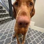 Profile Picture of Kate Eberhardt (@kate.eberhardt.242642) on Facebook