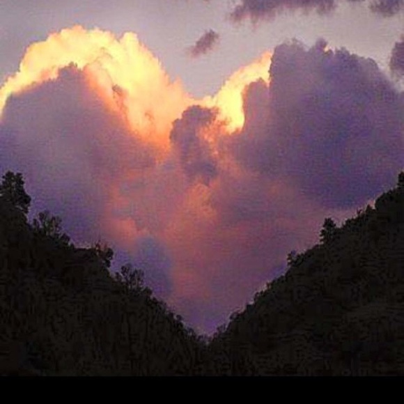 Profile Picture of Kerry Karbone (@kerrykarbone) on Poshmark