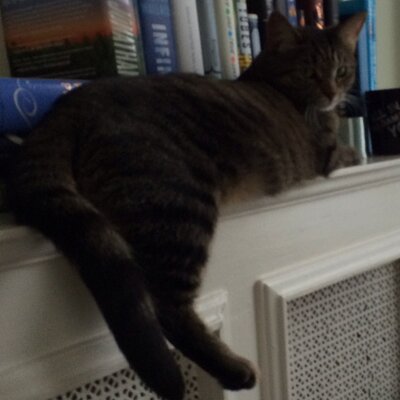 Profile Picture of Geoff Grove (@gandmspainGeoff) on Twitter