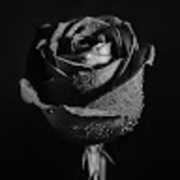 Profile Picture of Samantha Tomascik (@stomascik) on Poshmark