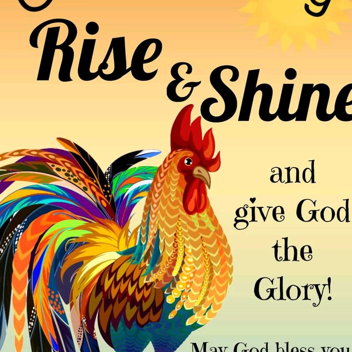 Profile Picture of norman_sher (@norman_sher) on Tiktok