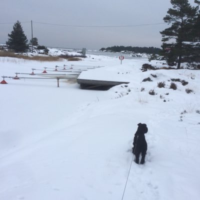 Profile Picture of Peter Broberg (@fbbygg) on Twitter