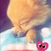 Profile Picture of Jasmine Jimenez (@jasmine.jimenez.33633344) on Facebook