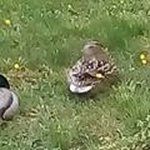 Profile Picture of Jeffrey Hardy (@jeffrey.hardy.5264) on Instagram