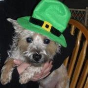 Profile Picture of Sandra Laky (@sandralaky) on Pinterest