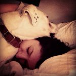Profile Picture of Chloe Elliott (@chloeeelliott) on Instagram