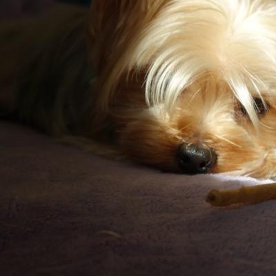 Profile Picture of Donnie Wong (@Donnieing) on Twitter