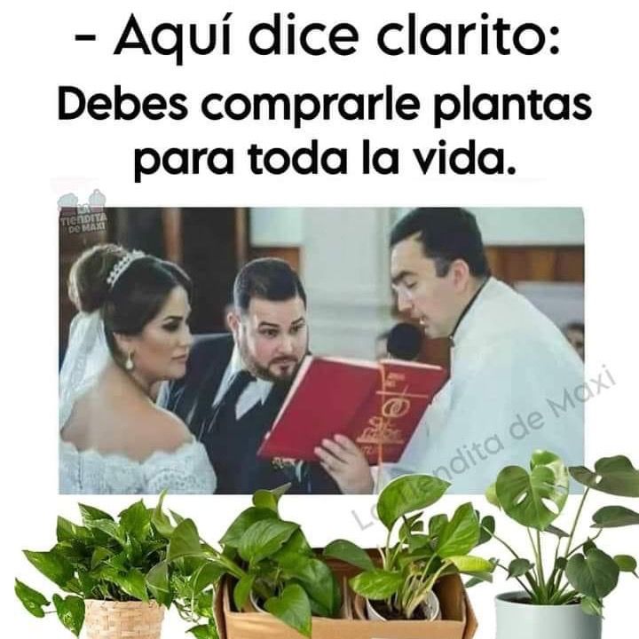 Profile Picture of Atzi González (@atzigonzlez) on Tiktok