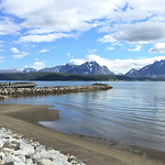 Profile Picture of Yang Cui (@cuiyang000) on Flickr