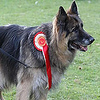 Profile Picture of gtrmacs (@gtrmacs) on Flickr