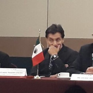 Hugo Fragoso Sanchez - Twitter Profile Picture of Hugo Fragoso Sanchez (@fragososh) on Twitter