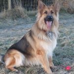 Profile Picture of Andrew Trembath (@trembath.andrew) on Instagram