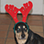 Profile Picture of Justin Chapin (@DJJPhoenix) on Flickr