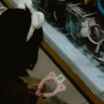 Profile Picture of Chris Fay (@Chris-Fay) on Facebook