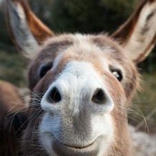 Profile Picture of Dan Mircea Manda (@MandaMircea) on Twitter