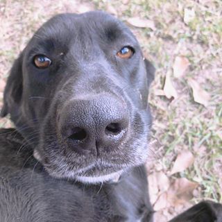 Profile Picture of David Bosarge (@David-Bosarge) on Facebook