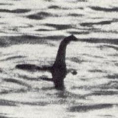 Profile Picture of Loch Ness Monster (@LNMonsterHunter) on Twitter