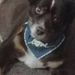 Profile Picture of The simple (@sheryltrego) on Pinterest