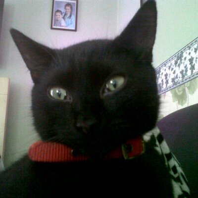 Profile Picture of Kim Pritchard (@Kimmypoopoo) on Twitter