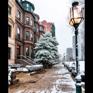 Profile Picture of temple_steven (@temple_steven) on Instagram