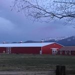 Profile Picture of Pony Patch (@doolittleranch) on Instagram