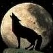 Profile Picture of Andrew Moon (@amoon0699) on Youtube