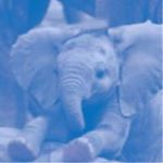 Profile Picture of Kim Seager (@kimseager) on Instagram