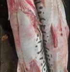 Profile Picture of Ivan Garavito (@yenifer.penagarcia.92) on Facebook