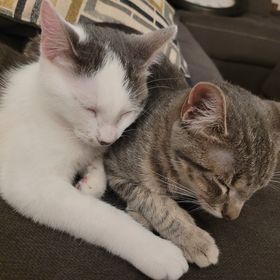 Profile Picture of Kelli Guthrie (@kcg4990) on Pinterest