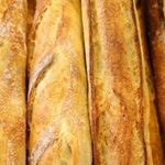 Profile Picture of Michael Panebianco (@whitebread0511) on Instagram