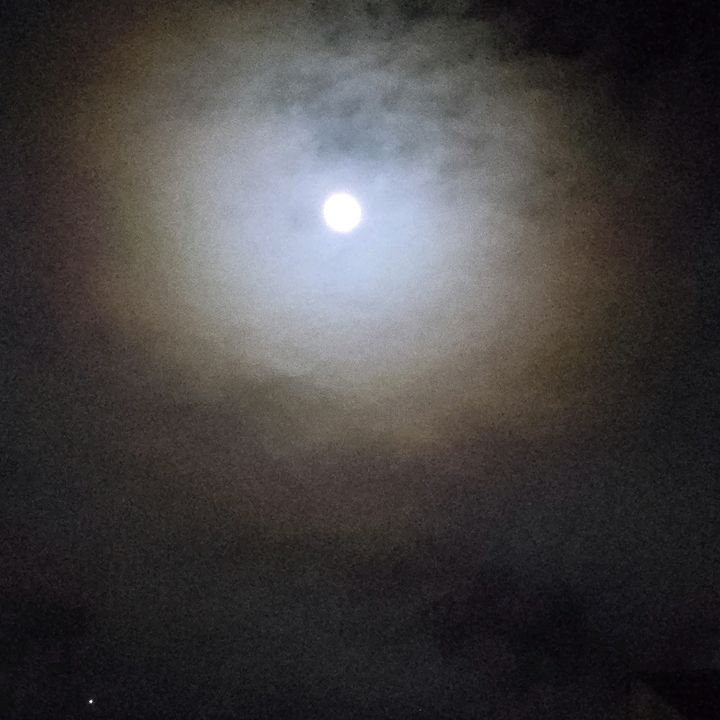 Profile Picture of Shawn Wilber (@shawnwilber2) on Tiktok