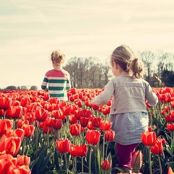 Profile Picture of Linxing (@linxinga) on Twitter