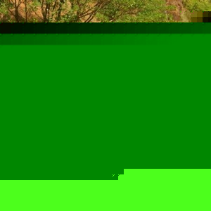 Profile Picture of Pramod Acharya (@225663330) on Myspace