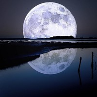 Profile Picture of Sean Black (@sean-black-18) on Quora