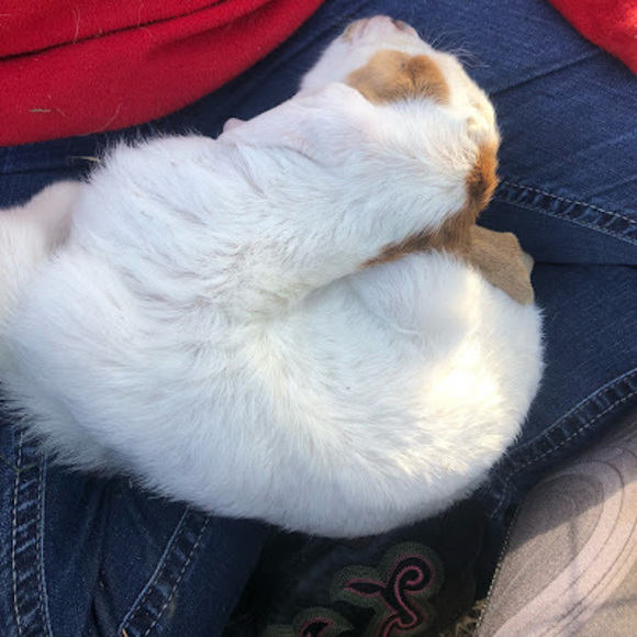 Heather Sowell - Poshmark Profile Picture of Heather Sowell (@heathersowel598) on Poshmark