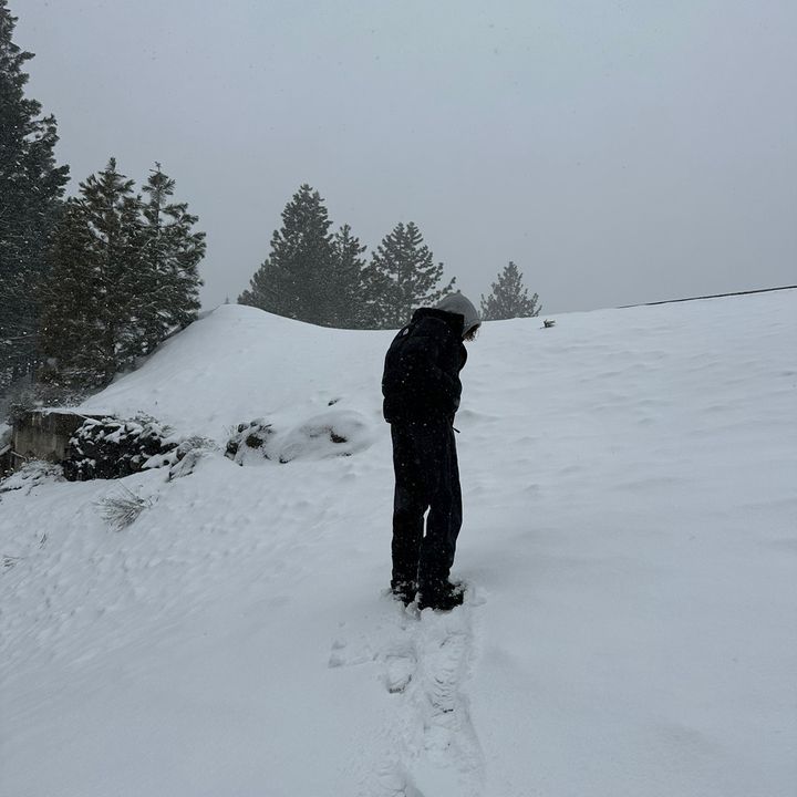 Profile Picture of David (@david.es) on Tiktok