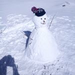 Profile Picture of Cathy Verelle (@cathyverelle) on Instagram