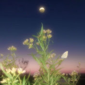 Profile Picture of Aneri Sheth (@anerisheth3524) on Youtube