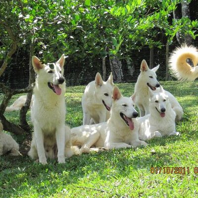 Profile Picture of Danielle Gama (@monjope64) on Twitter