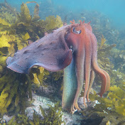 Profile Picture of Nick Garrick (@nickgarrick5213) on Youtube