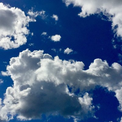 Profile Picture of C (@CalvinSilver789) on Twitter