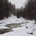 Profile Picture of Kaylee Barron (@kaylbarron) on Instagram