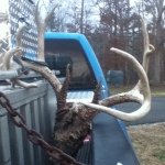 Profile Picture of Lance (@amelia_all_star_82) on Instagram