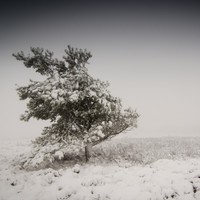 Profile Picture of Paul Garbutt (@paul-garbutt-5) on Quora