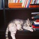 Profile Picture of Christopher Steptoe (@proudbirdblab) on Instagram