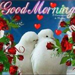 Profile Picture of brutus ricardo (@brutusricardo1995) on Instagram