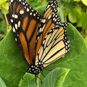 Profile Picture of Ruby Stone (@rubystone3170) on Youtube