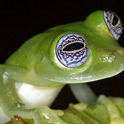 Profile Picture of Stephanie Plant (@burnzysgirl) on Twitter