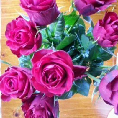 Profile Picture of Ariel (@ArielCao311) on Twitter